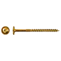 esettg_002__large.png