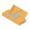 sfn-2.jpg